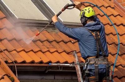 Démoussage et hydrofuge de toiture à Barneville-la-Bertran